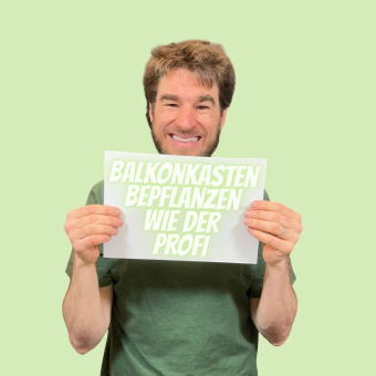 Balkonkasten selber bepflanzen