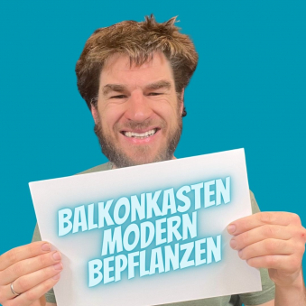 Balkonkasten weiss grün bepflanzen