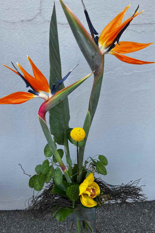 Blumenstrauss-mit-Strelizien.jpg