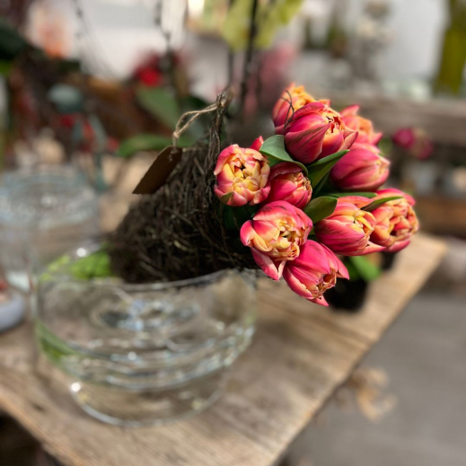 Fruehling-2024-Blumenmann-Tulpen.jpg