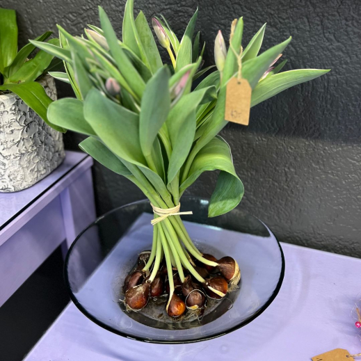 Fruehling-Blumenmann-Tulpenstrauss.jpg