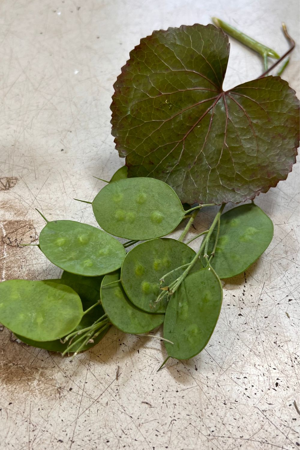 Tischdeko mit Blumen selber machen Grün Materil schritt für Schritt Anleitung