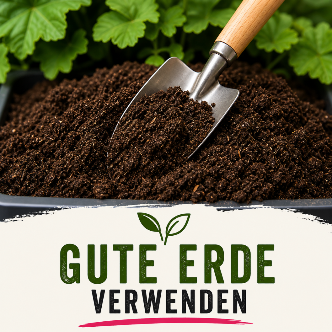 Balkonkasten mit guter Erde befüllen für kräftiges Wachstum