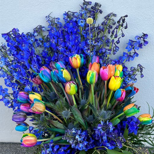 Exklusiver Regenbogenstrauss mit Rittersporn und Disteln selber binden