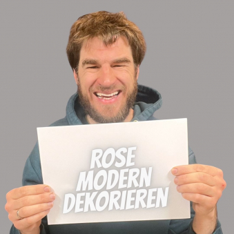 Rose weiss exklusiv ausdekorieren