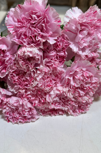 Blumenstrauß selber binden wie ein Profi – Schritt für Schritt Anleitung mit Calla und Nelken