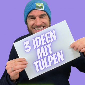 3-Ideen-mit-Tulpen.png