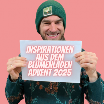 Advent-25-Inspo.png
