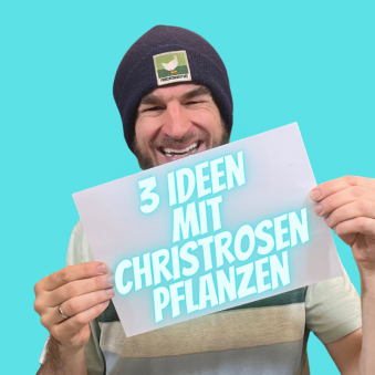 Christrosen-3-Ideen.png