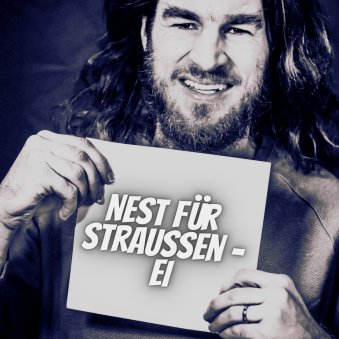 Nest-fuer-Straussen-ei.png