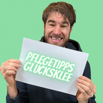 Pflegetipps-Gluecksklee.png